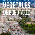 Manual de coberturas vegetales de Bogotá D. C.